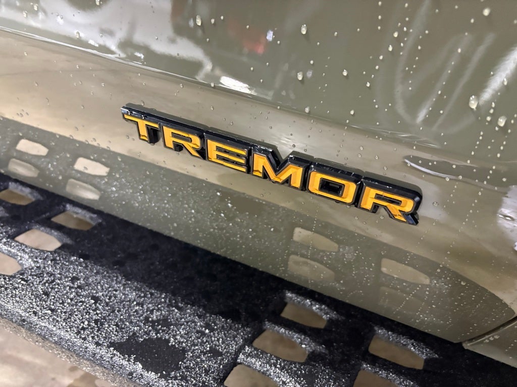 2025 Ford Expedition Tremor